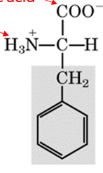 <p>recognize this structure</p>