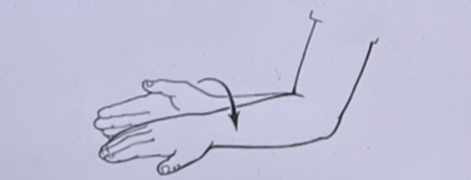 What action is shown in the image? 