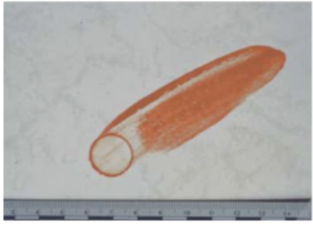 <ul><li><p><span style="background-color: transparent;"><span>when the center of a dried bloodstain flakes away and leaves a rim</span></span></p></li></ul><p></p>