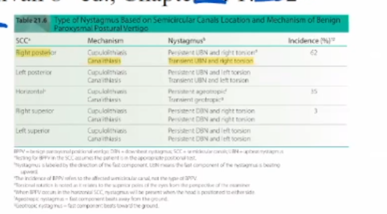 <ul><li><p>A</p></li></ul><p></p>