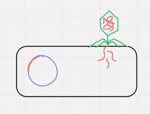 <p>what cycle + step is this? (format: cycle name, step name (#))</p>