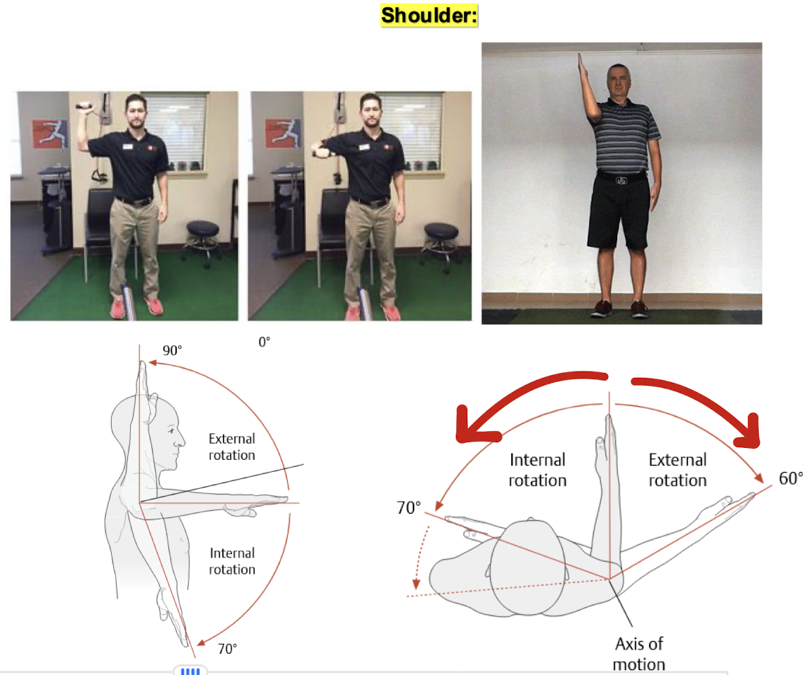<ul><li><p><strong>medial rotation </strong>- rotation toward the midline of the body</p></li><li><p><strong>lateral rotation</strong> - rotation away from midline of the body</p></li></ul><p><strong>*NOTE: rotating your whole arm at the shoulder is called circumduction - it is a biaxial movement because the arm moves in more than one plane; can’t be called rotation; rotation happens only in one plane</strong></p><p></p>