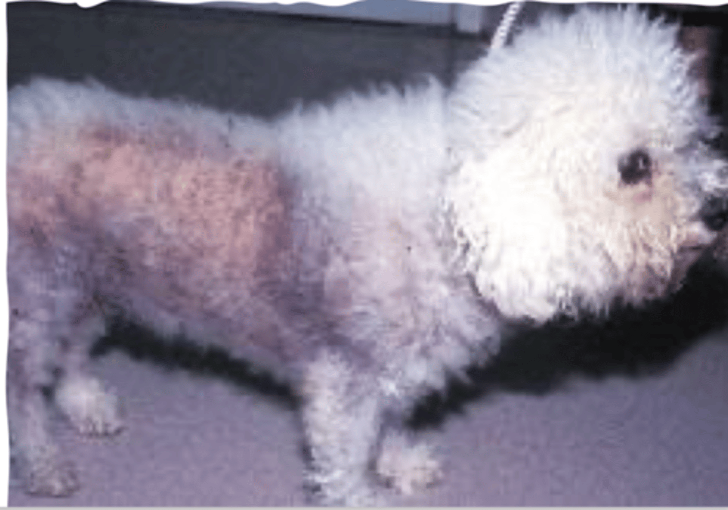 <p>what do we call this?</p>