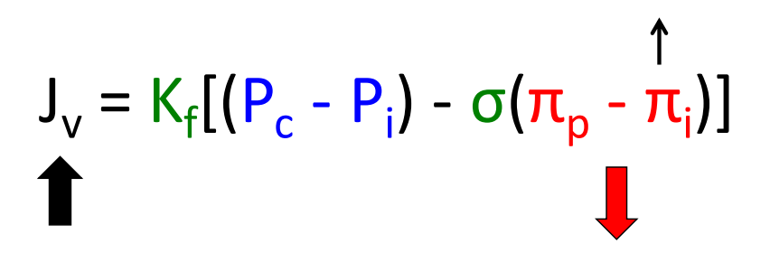 <p>Answer = C. Remember you are looking for the exception. Increasing the protein concentration (i.e., oncotic pressure; B) would increase the forces favoring filtration by decreasing the oncotic pressure gradient (E). The increase in fluid flux into the interstitium, would increase lymph flow <span style="font-size: 1.6rem">(A). It would also increase, not decrease (not C), the amount of filtration. There would be a </span>tendency for the accumulation of fluid, yielding edema (D).</p>