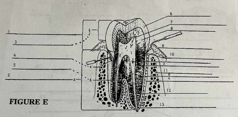 <p>what is 4</p>