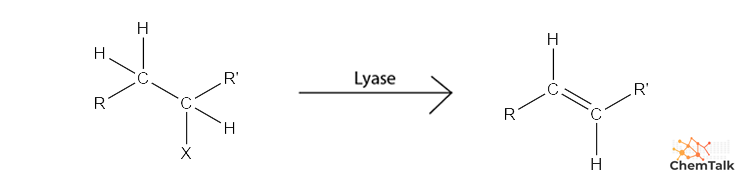 <p>Tips for Lyase identification</p>