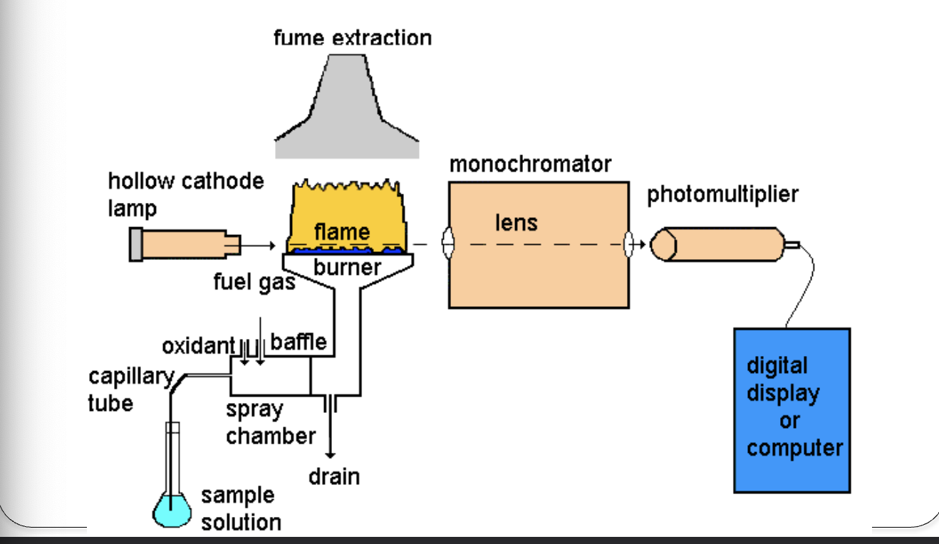 <ul><li><p>analogous to absorption spectrophotometry (atoms vs. molecules)</p></li><li><p><strong>Hollow cathode lamp </strong>→ analyte-specific light source </p></li><li><p><strong>flame: </strong>sample holder </p></li></ul><p></p>