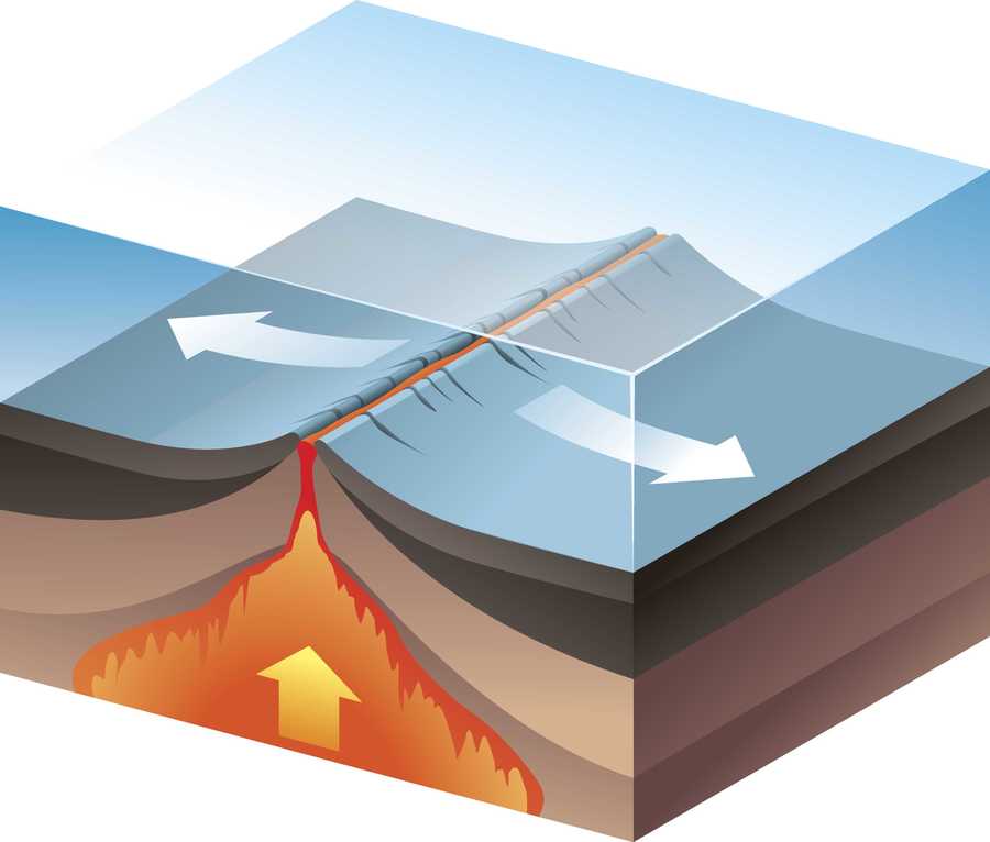 <p>Which plate boundary is it? Look at the image.</p>