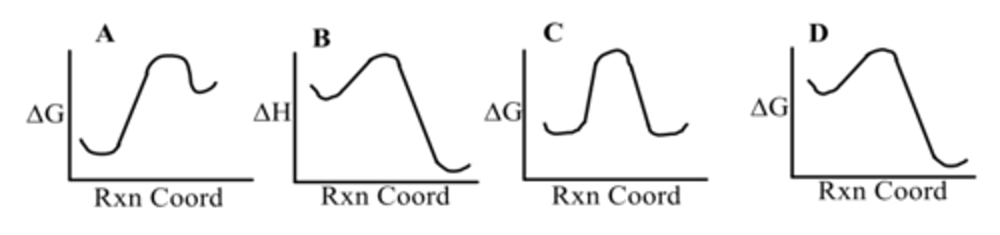 <p>Which diagram shows an endergonic reaction?</p>