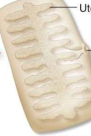 <p>What is the middle arrow pointing at?</p>