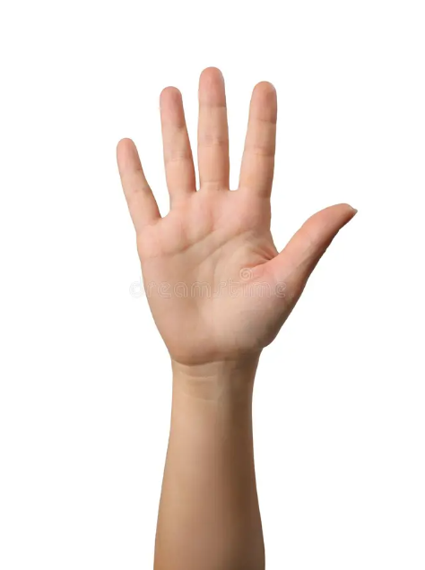 What does this sign mean? (five fingers, one hand up)