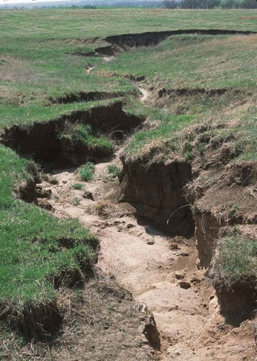 <p>= deep ruts in the land remove soil<br>... common in areas of high-water runoff concentration, resulting in deep channels that dig into the surface<br><br><br>Solutions:<br><br>- Tilling is a temporary solution, but gullies return to the same place<br>- Usually require extensive labour to replace lost soil and fill in deep channels</p>