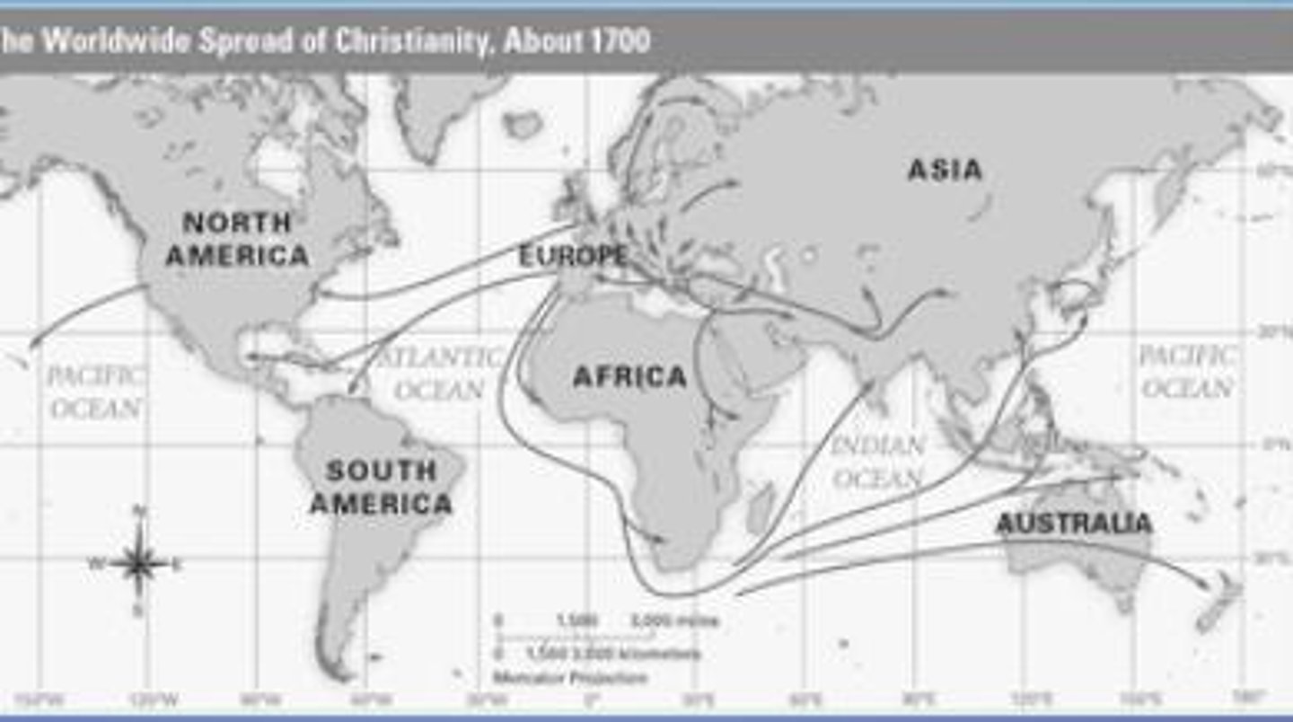 <p>A person who flees their home country and is not able to return</p>