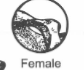 <p>female deer pelvis</p>
