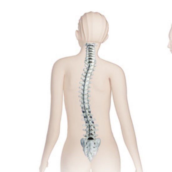 <p>Lateral bending of vertebral column</p><ul><li><p>in Thorscic region</p></li></ul>