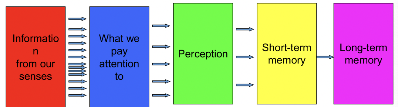 How does memory fade?
