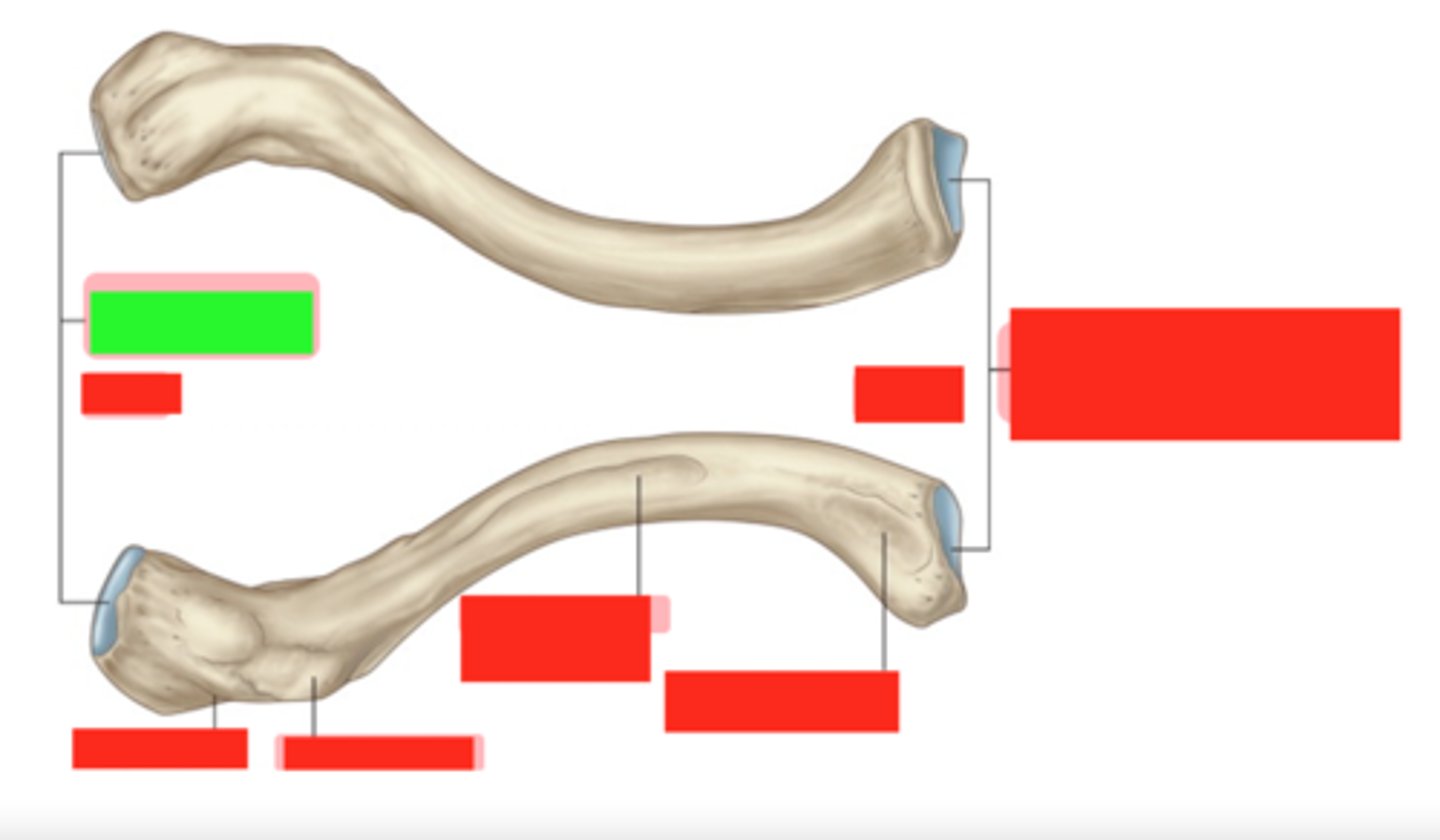 <p>label the green box</p>