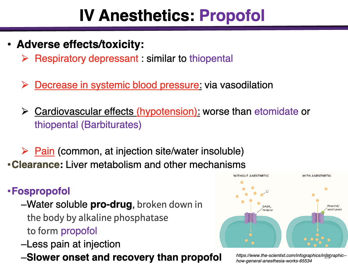 <ul><li><p>Respiratory depressant: similar to thiopental</p></li></ul><ul><li><p>Decrease in systemic blood pressure: via vasodilation</p></li><li><p>Cardiovascular effects (hypotension): worse than etomidate or thiopental (barbiturates)</p></li><li><p>Pain (common, at injection site/water insoluble) </p></li></ul><p>CLEARANCE: Liver and other mechanisms </p>