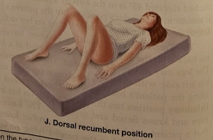 <p>Dorsal Recumbant Position</p>