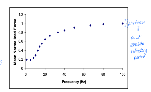 <p>as the frequency of stimulus increases, so does the force generated- seen at the level of the muscle fiber, motor unit, whole muscle&nbsp;</p>
