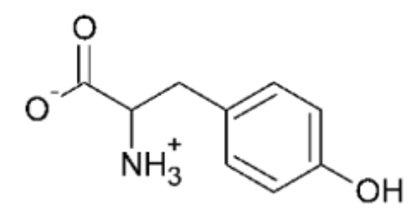 <p>What is this amino acid? Name the full amino acid, the three word abbreviation, and one letter abbreviation. If this amino acid has a side chain with a pKa value, include this value.</p>