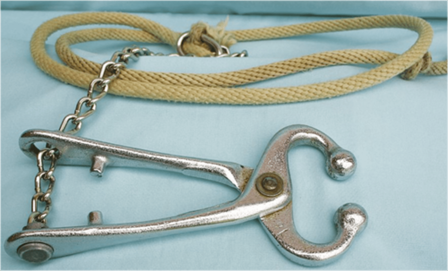 <p>To control the head by applying pressure to the nasal septum.</p>