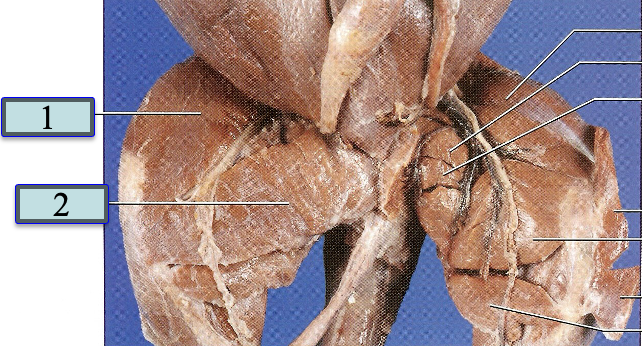 <p>2</p>
