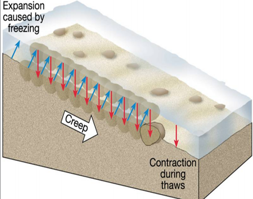<p>Heave is the slowest of all mass movements and refers to the slow lifting of soil particles perpendicular to the slope due to wetting/drying (soil expands and lifts when wet and contracts and falls back vertically when dry) or freezing/thawing (ice crystals expand forcing soil particles closer to surface of slope, when thawed the displaced material falls back vertically, gravity, moving down slope).</p>