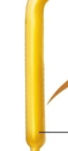 <p>what is this?</p>