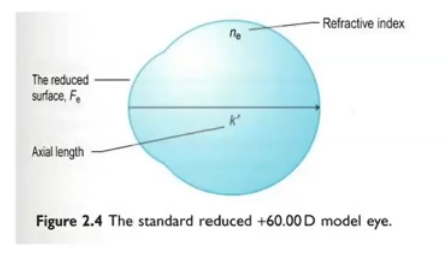 <p>a simpler model eye which has only 1 refracting surface </p><p>all dioptric power is contained within conreas as theres no lens </p><p>only 4 dimensions - only 4 numbers </p><p>radius of curvature of cornea = 5.55mm axial length 22.22mm  </p><p>if radius of curvature is smaller the power increases </p><p>refractive index within : 4/3. power of reduced eye is 60 D </p><p></p>