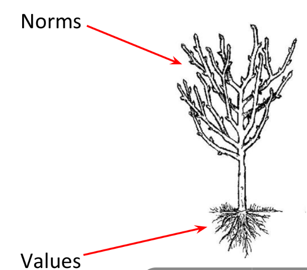 <p>Norms are expected ways of behaving (what we do).</p><p>Values are ideas or concepts that we value (why we do what we do). </p><p>Socialisation is the process of learning these norms and values.</p>