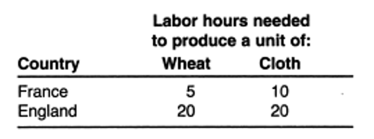 <p>This exists if a producer can produce more of a good with the same quantity of resources, or the same quantity of goods with fewer resources, than all other producers.</p>