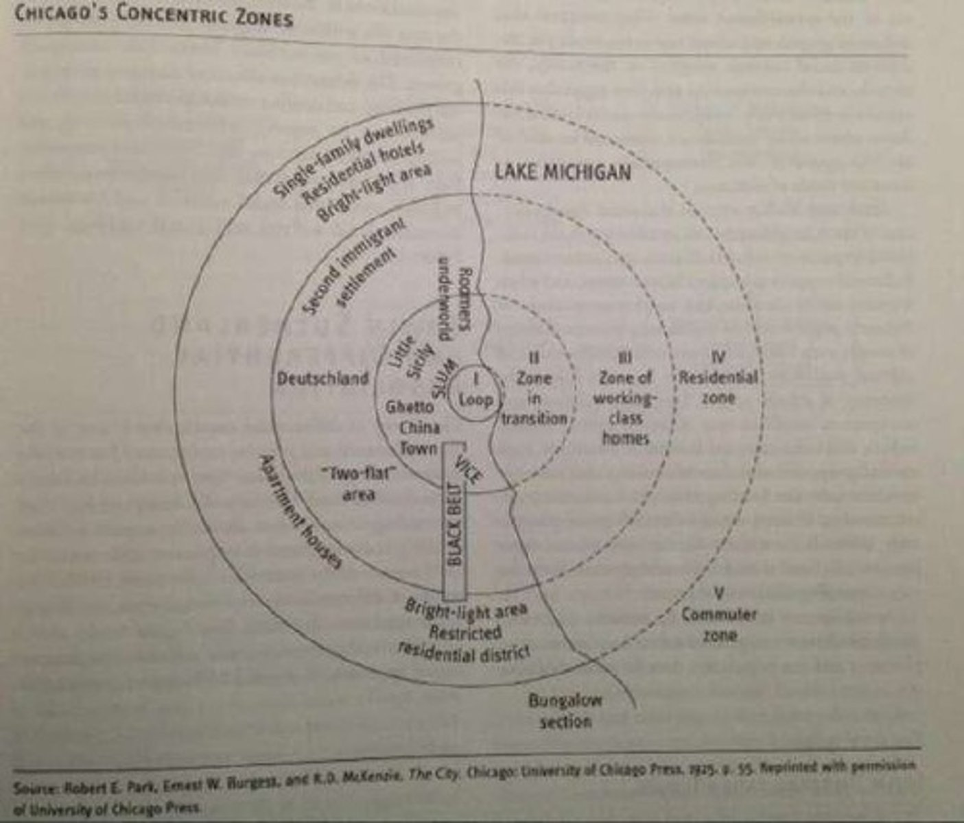 <p>They represent different areas of a city that influence social bonds and crime rates.</p>