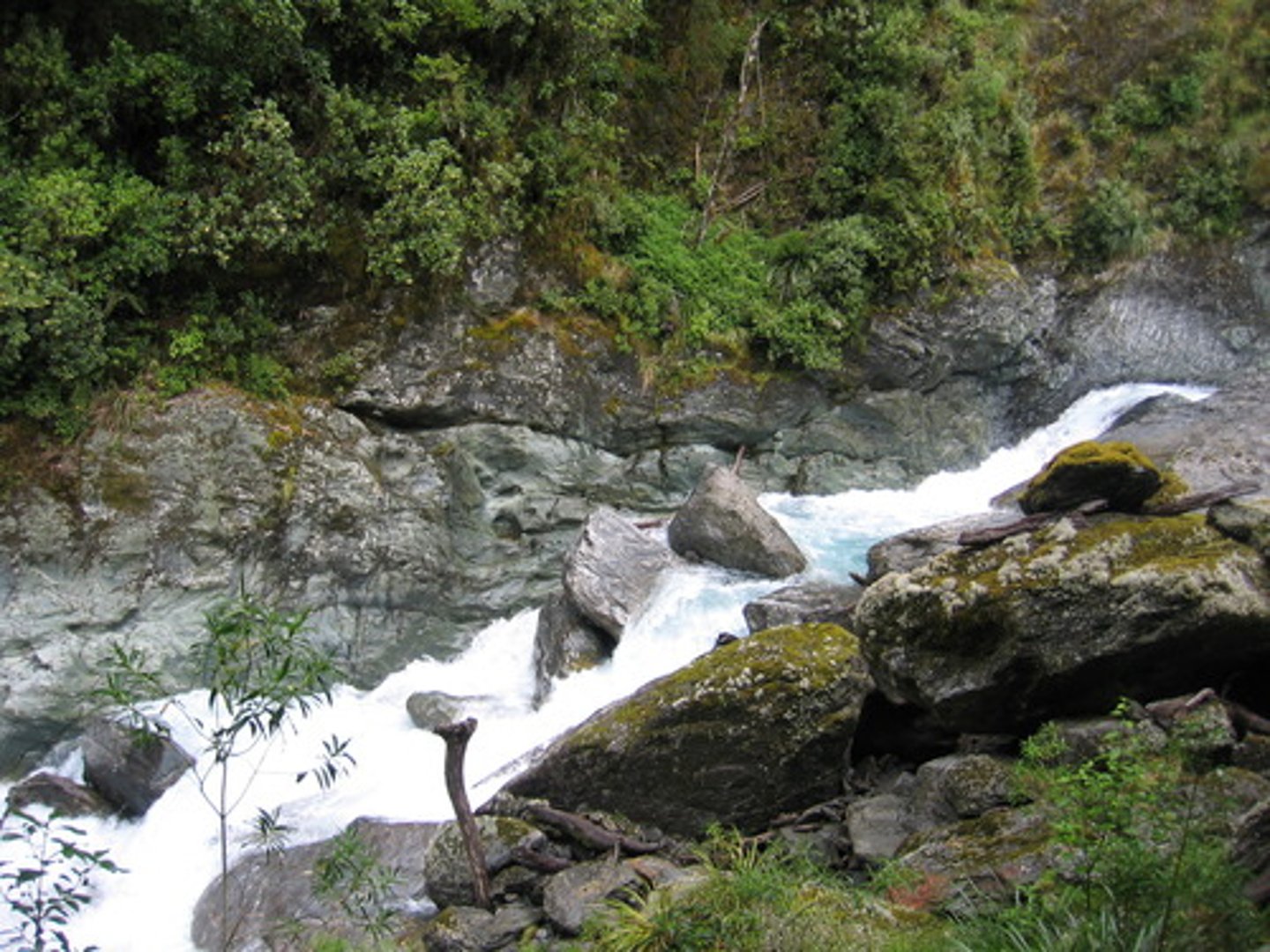 <p>diễn biến nhanh</p>