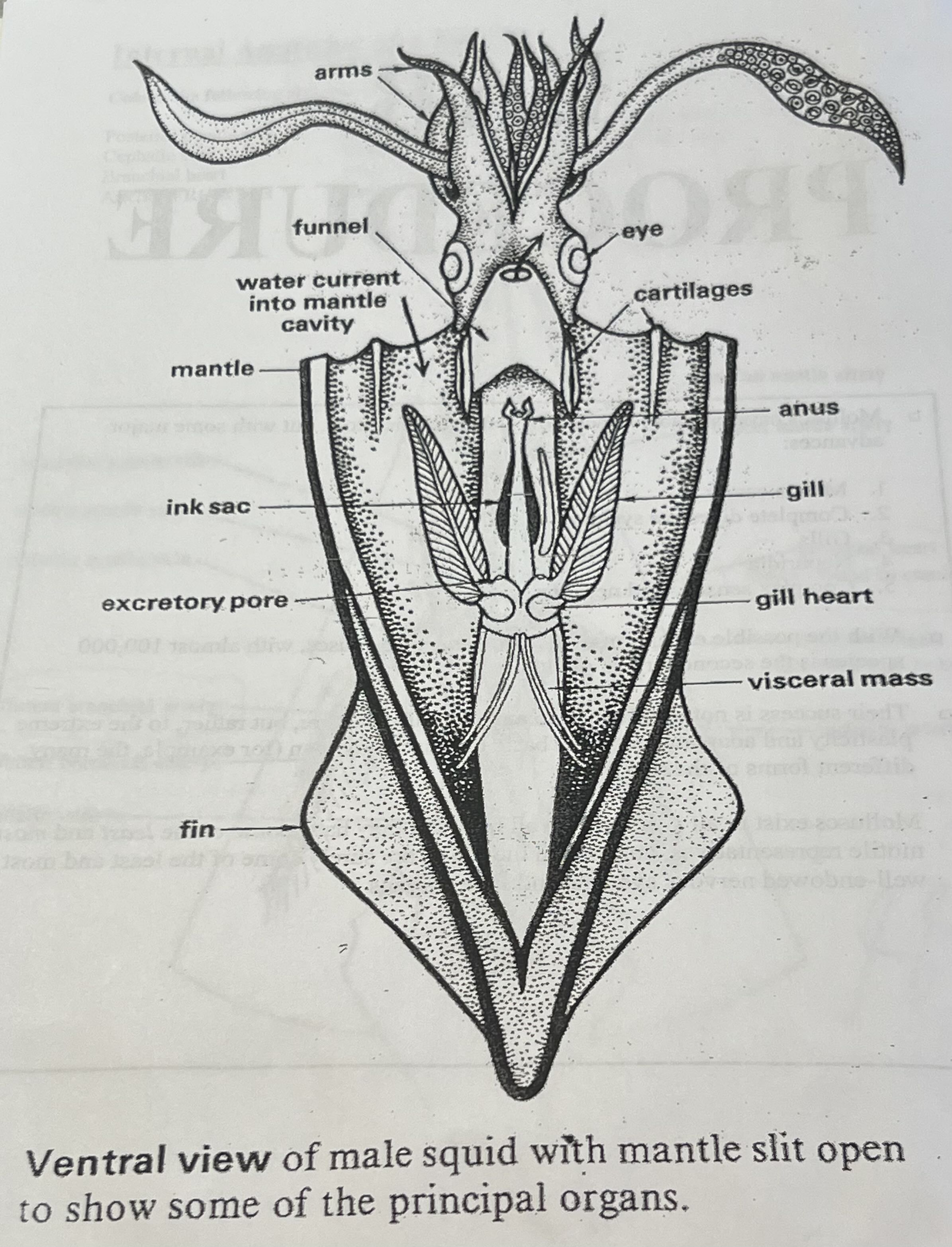 <p>List all functions of parts </p>