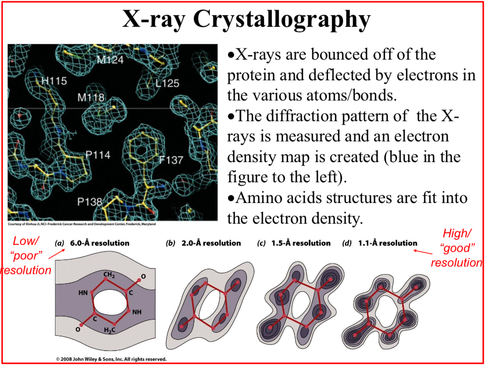 <p>X-ray Crystallography</p>
