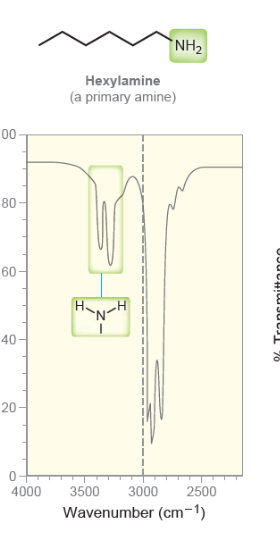 <ul><li><p>two short peaks after 3000</p></li></ul>