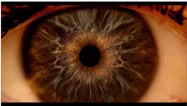<p>can view the inside of the eye directly (also called a funduscope)</p><ul><li><p>usually done as a part of an eye exam and pupil dilation (mydriasis) via eye drops can make it easier to inspect the structures behind the pupil</p></li><li><p>looks the things doctors use to shine light in your eye/ear through a glass plate</p></li></ul><p></p>