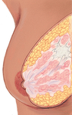 <p>What is this an image of?</p>