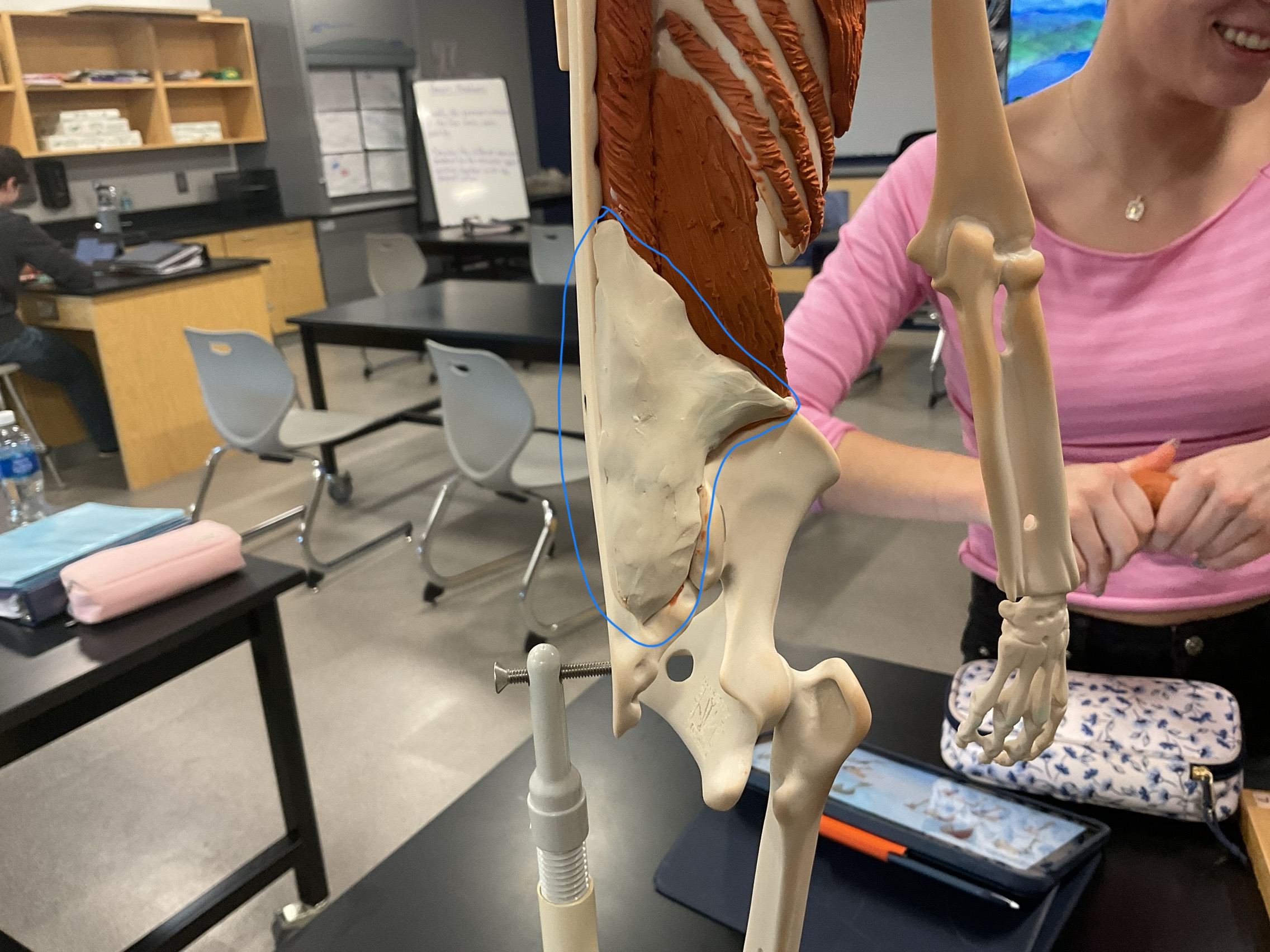 knowt flashcard image