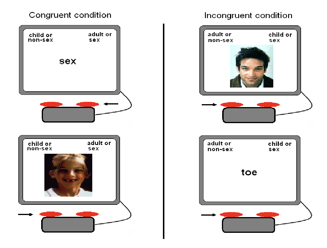 <p>congruent condition = adult and sex, child and non-sex</p><p>incongruent condition = child and sex, adult and non-sex</p><p>Images shown of either a child or an adult </p><p>words shown as either sexual or non-sexual </p><ul><li><p>factor of interest (child or adult) </p></li><li><p>attribute (sexual or non-sexual) </p></li></ul><p></p>