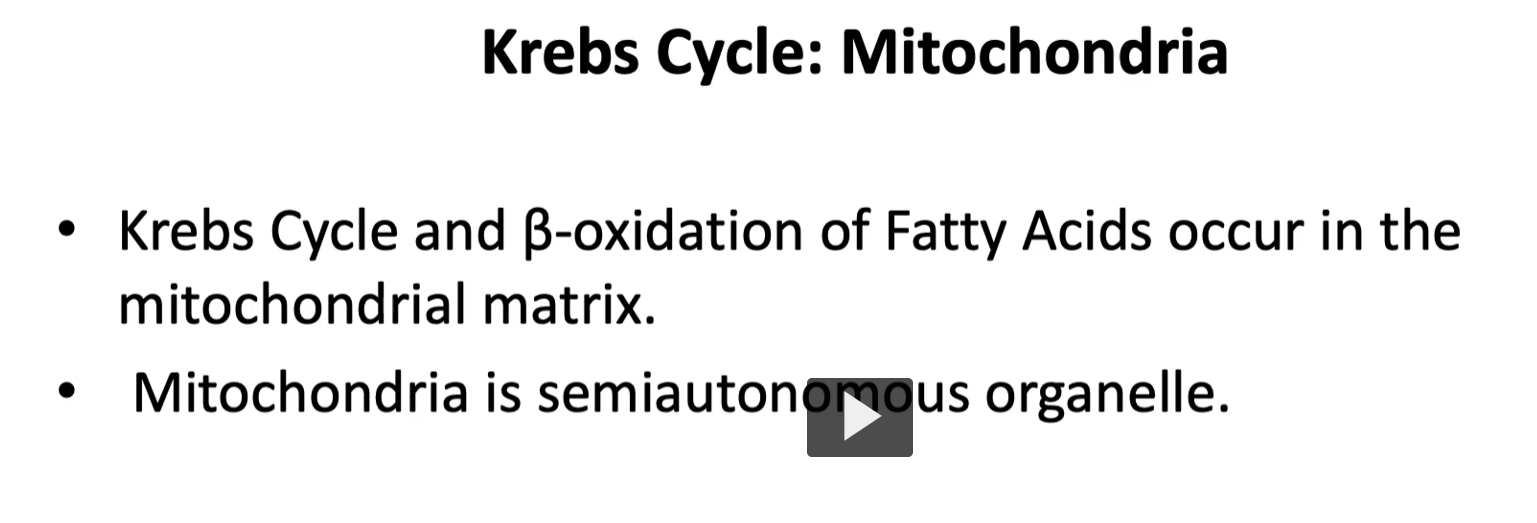 <p>as a quick recap, we talk about Kreb’s and beta oxidation of fatty acids occur in the mitochondrial membrane and how the mitochondria is a semiautonomous organelle.  </p>