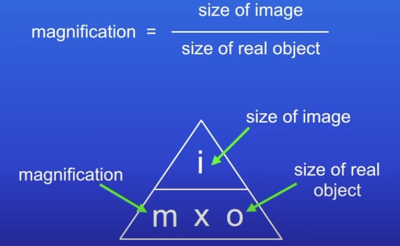 <ol><li><p>Greater magnification</p></li><li><p>Greater resolution</p></li></ol>