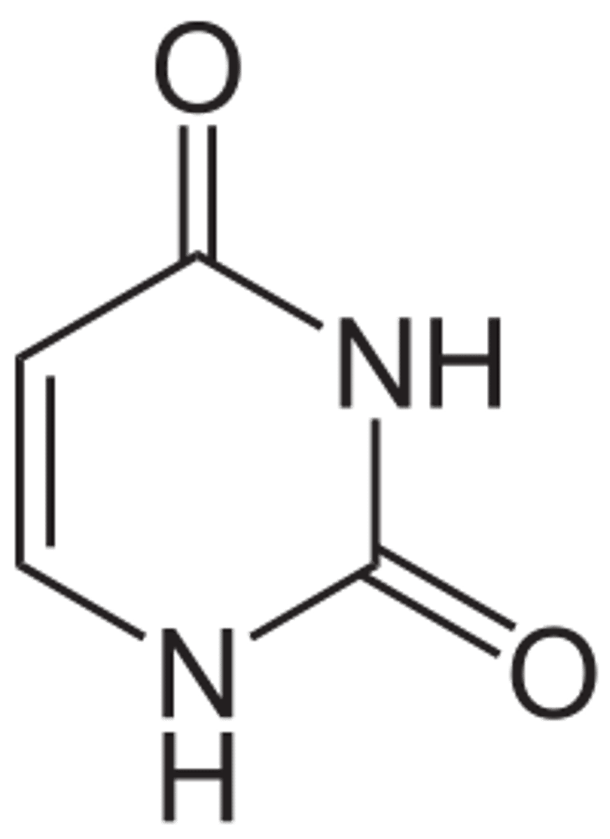 <p>Pyrimidine</p>
