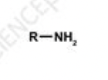 <p>organic compound derived from ammonia (NH3) by replacing one or more hydrogen atoms with alkyl or aryl groups; examples: methylamine (CH3NH2), dimethylamine ((CH3)2NH)</p>