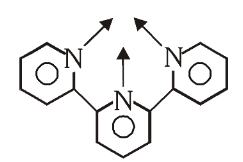 <p>What is this structure called?</p>