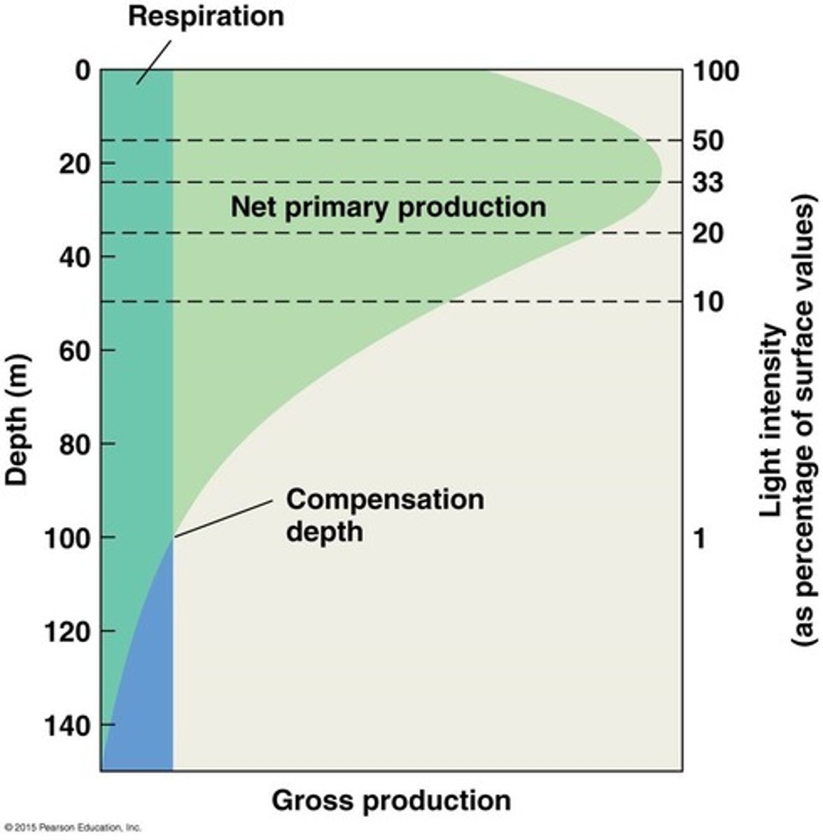 <p>Amount of sunlight available for photosynthesis</p><p>Amount of minerals available for plant growth</p><p>Temp (can decrease amount of O2)</p><p>Number of insect eggs laid</p><p>Amount of dissolved oxygen</p>