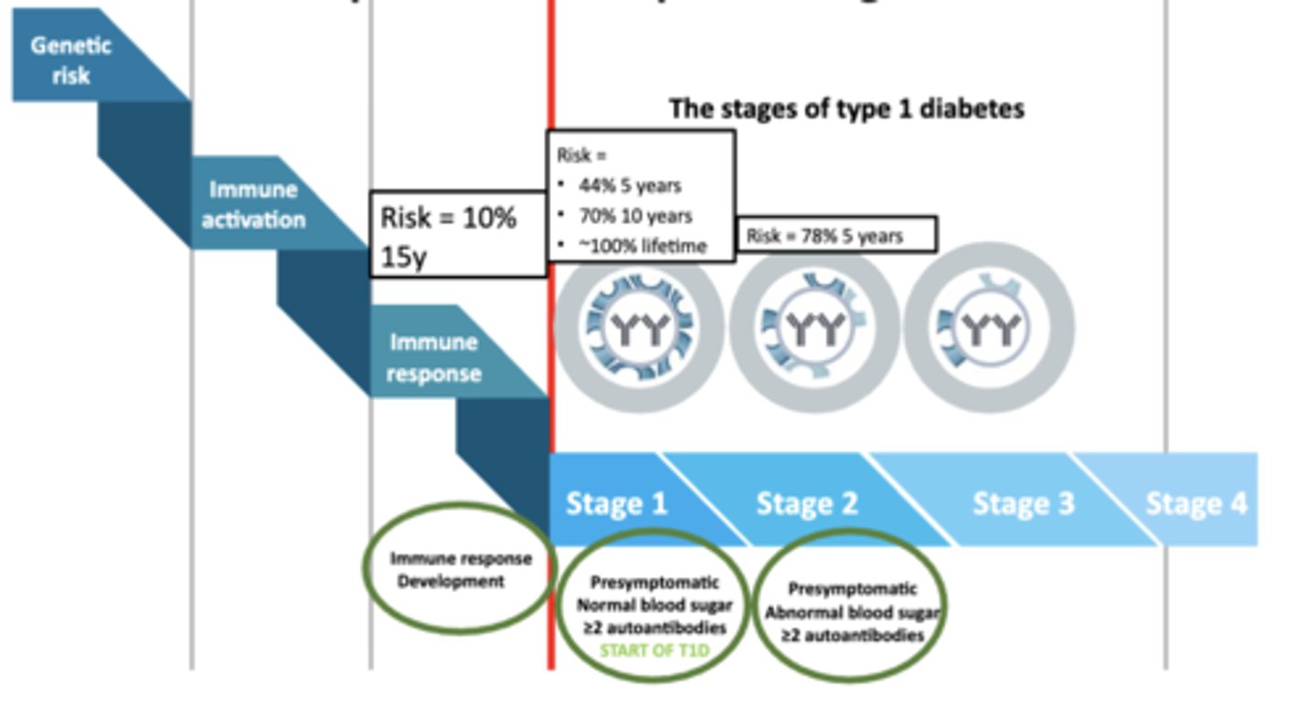 <p>≥2 Autoantibodies Endpoint → Development Stage 3 T1D</p>