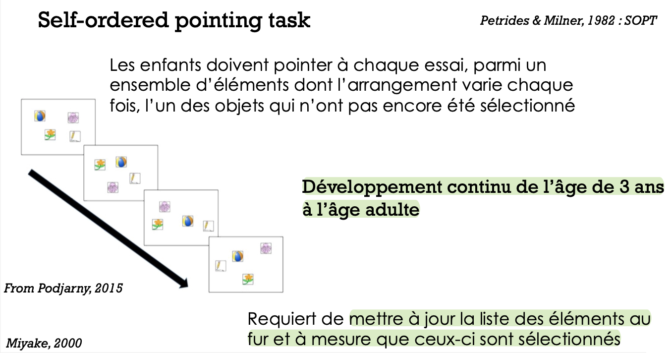 <p>→ révision des informations contenues en mémoire de travail, en remplaçant les plus anciennes par de nouvelles informations pertinentes </p>