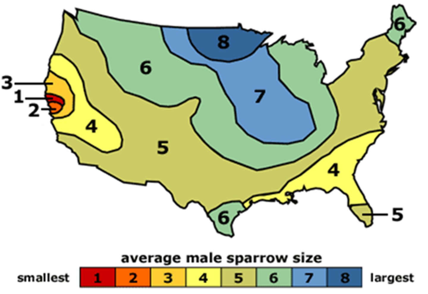 <p>A graded change in a trait along a geographic axis.</p>